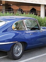 wild mature milf trailers